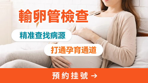 输卵管8.jpg
