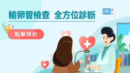 输卵管7.jpg