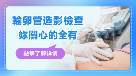 输卵管5.jpg